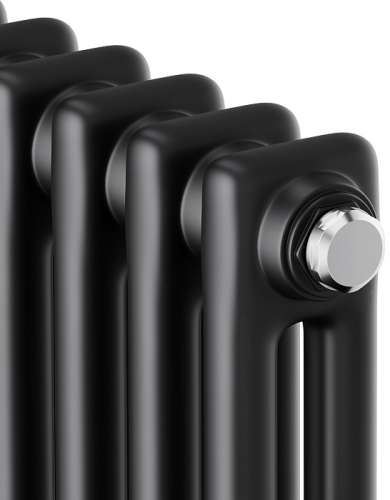 Стальной трубчатый радиатор 2-колончатый Royal Thermo Insignia C2180 - 10 секц. RAL9005m, боковое 1/2