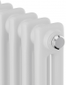 Стальной трубчатый радиатор 2-колончатый Royal Thermo Insignia C2180 - 10 секц. RAL9016, боковое 1/2