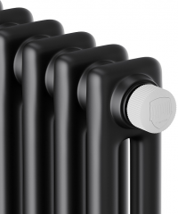 Стальной трубчатый радиатор 2-колончатый Royal Thermo Insignia VC2180 - 10 секц. RAL9005m, нижнее 1/2