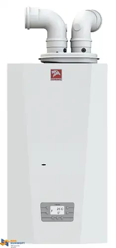 Настенный газовый котел Лемакс PRIME-V10